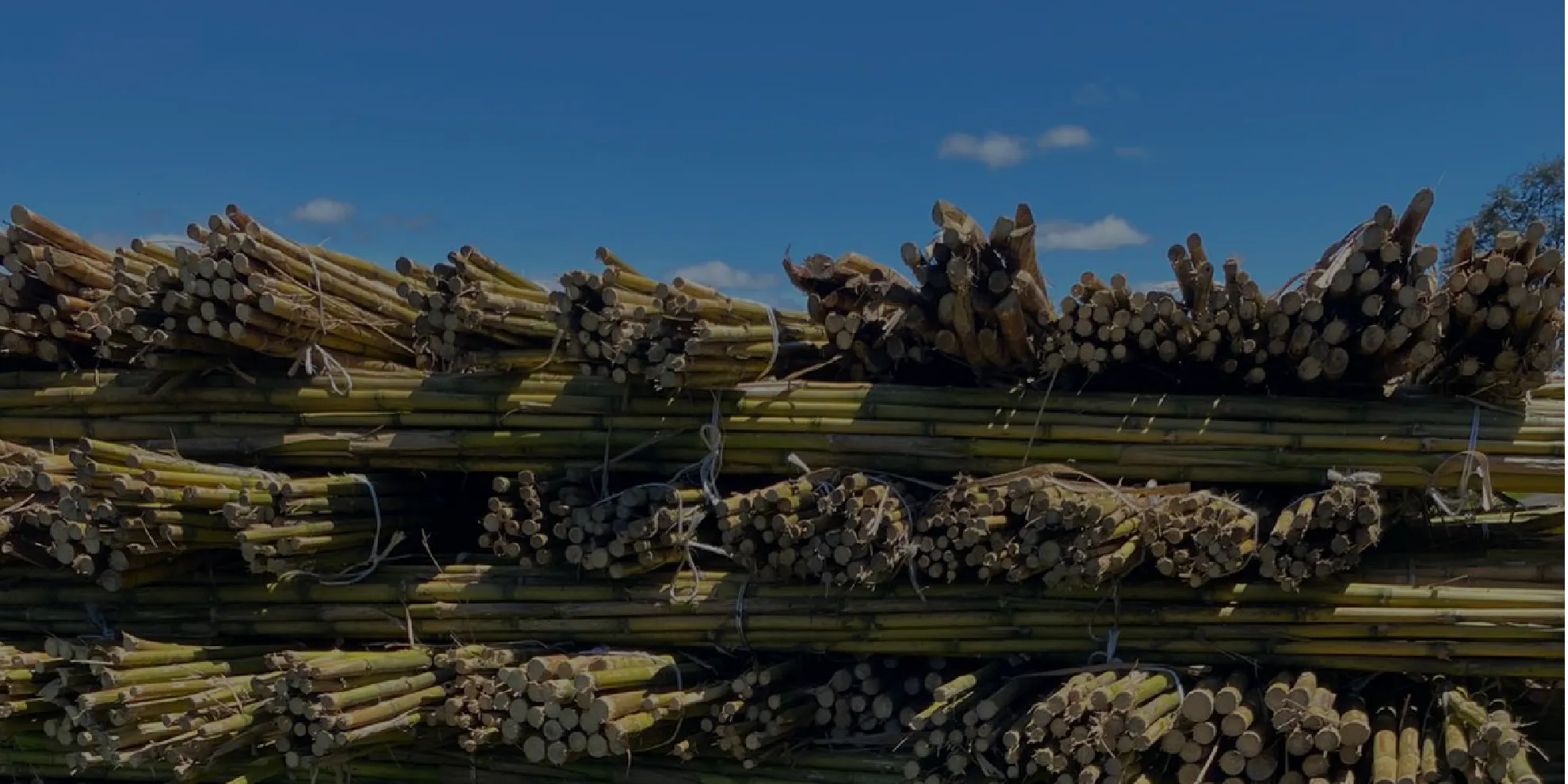 Banner sobre nosotros