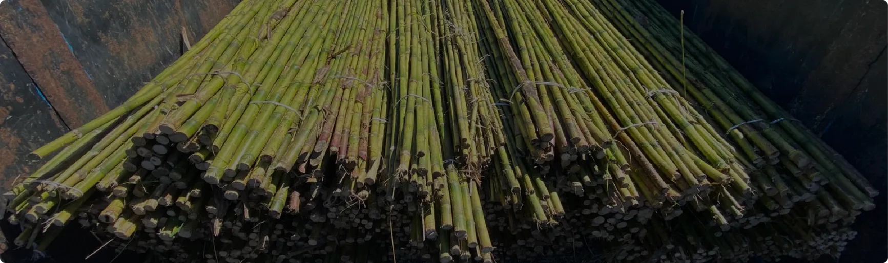 Centro de producción