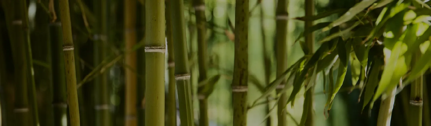 Centro de producción